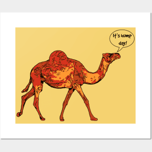 Camel It's Hump Day Posters and Art